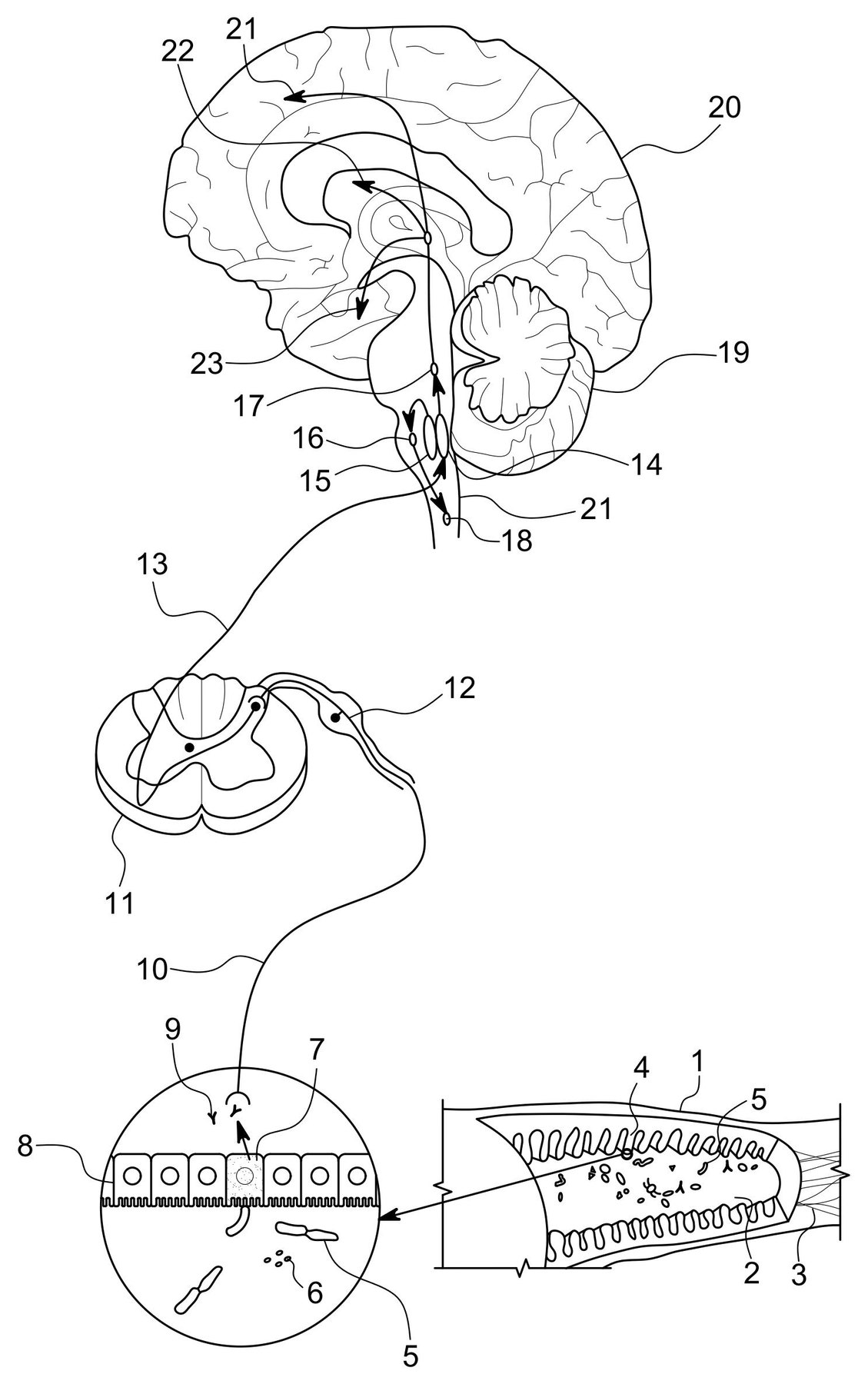 utility patent drawing sample 7