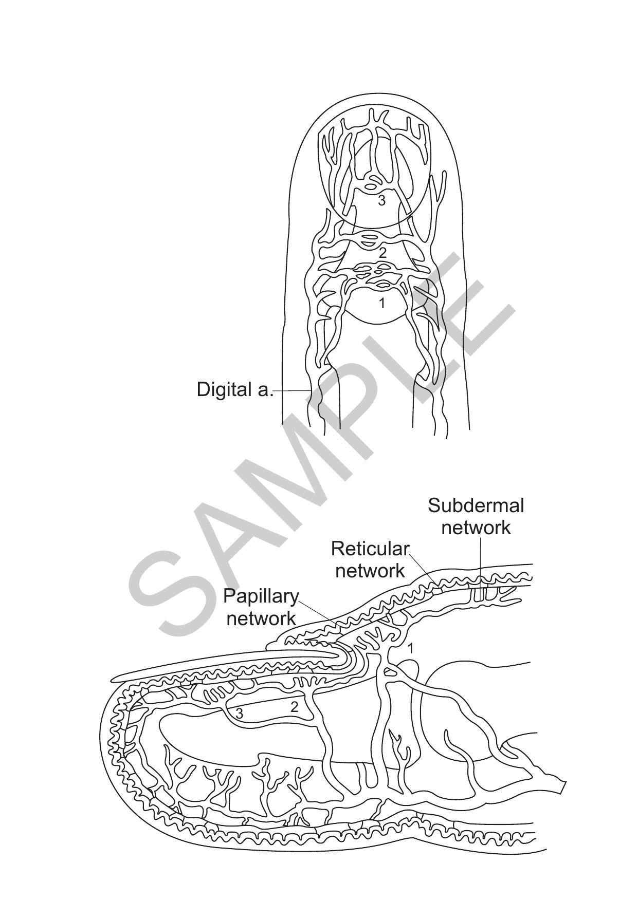 utility patent drawing sample 3
